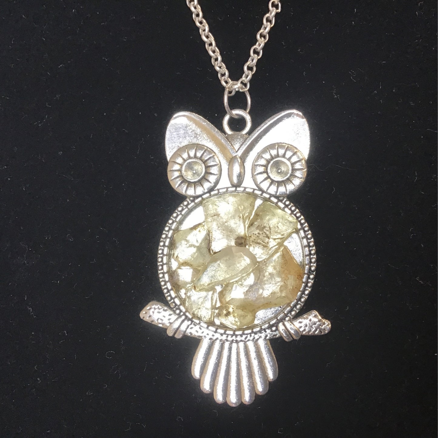 Herkimer Chipped Owl