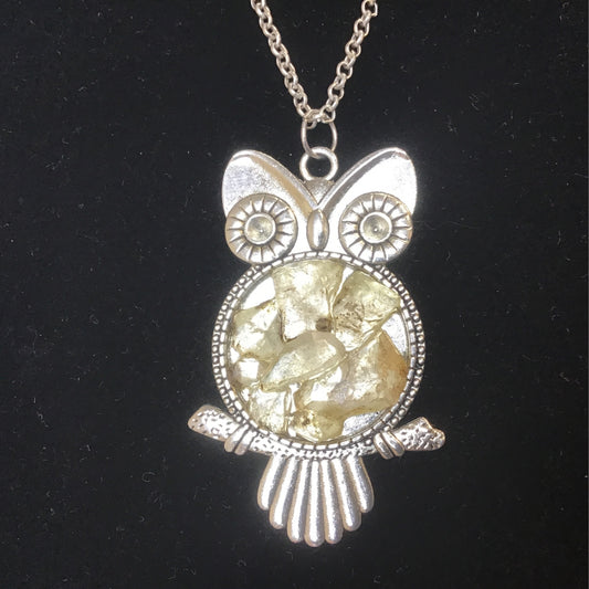 Herkimer Chipped Owl